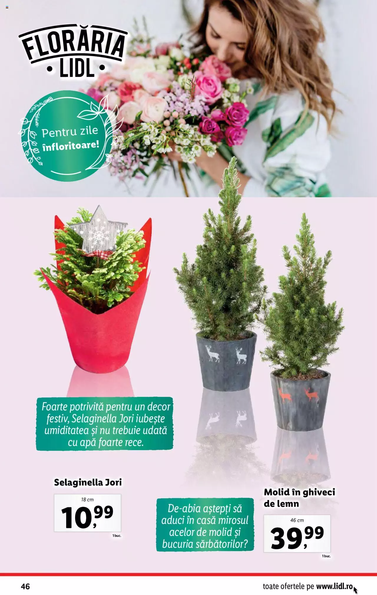 Catalog LIDL 11 - 17 Decembrie 2023 | Pagina 46