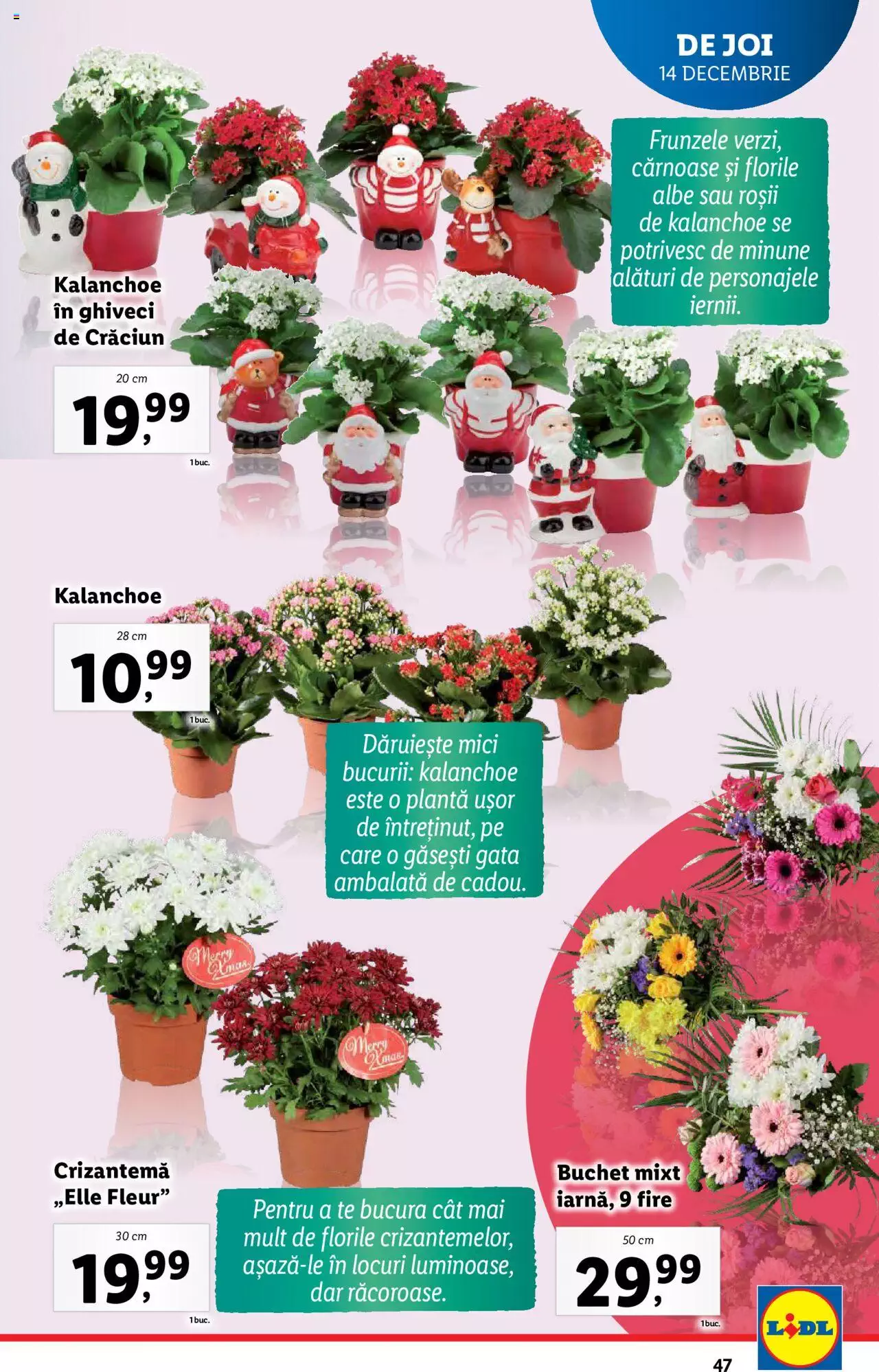 Catalog LIDL 11 - 17 Decembrie 2023 | Pagina 47