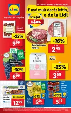 Catalog LIDL