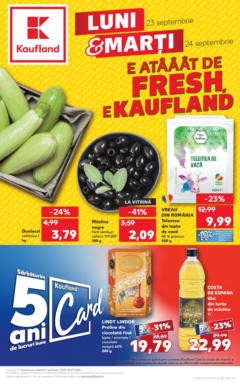 Catalog Kaufland