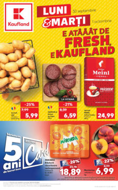 Catalog Kaufland