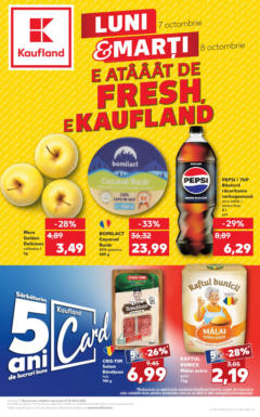 Catalog Kaufland