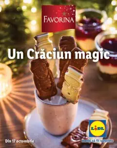 Catalog LIDL