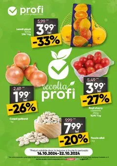 Catalog Profi