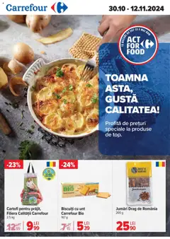 Catalog Carrefour