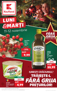 Catalog Kaufland