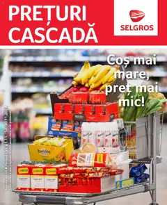 Catalog Selgros