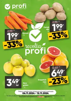 Catalog Profi