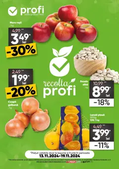 Catalog Profi