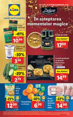 Catalog LIDL