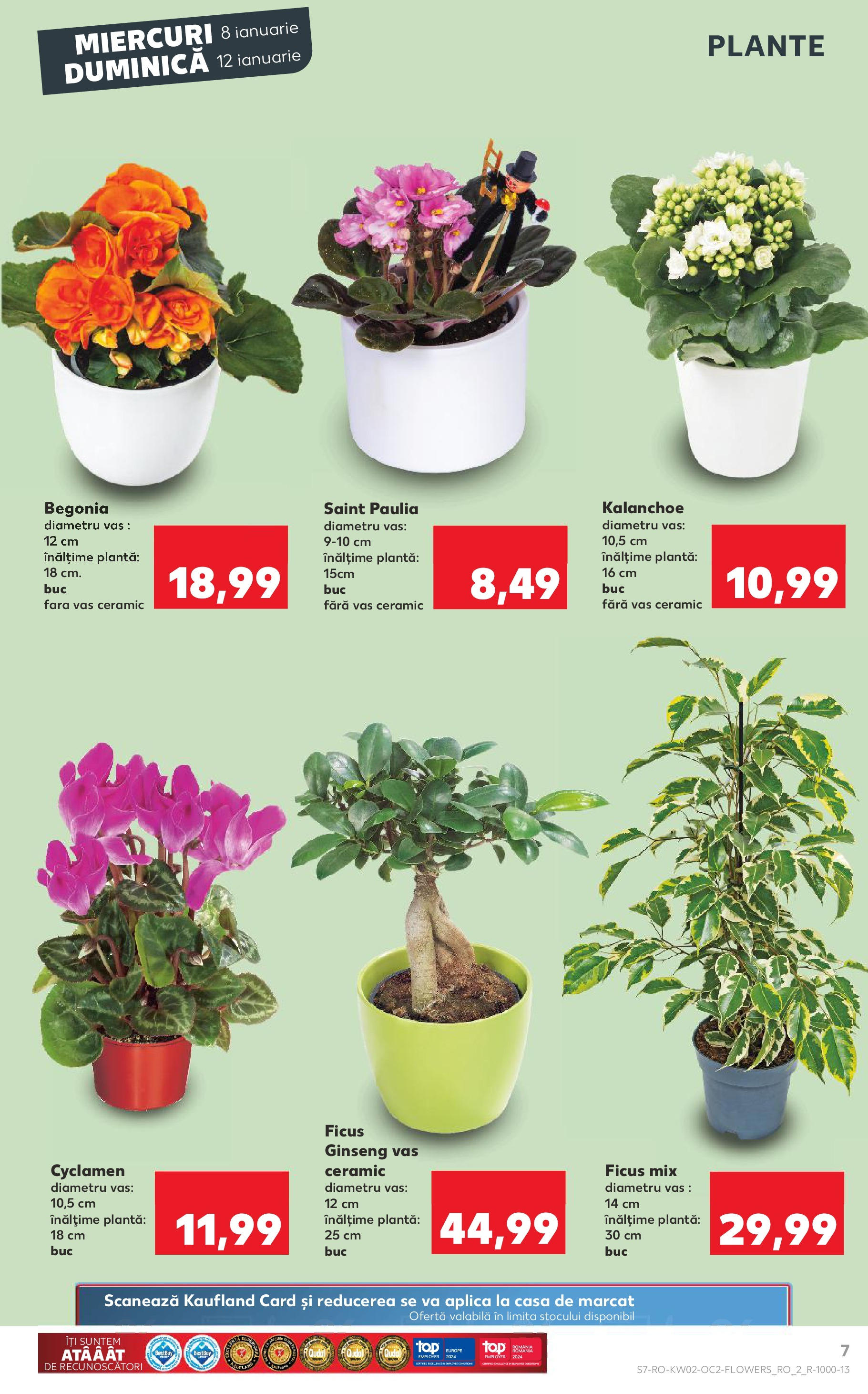 Catalog Kaufland 8 - 14 Ianuarie 2025 | Pagina 7