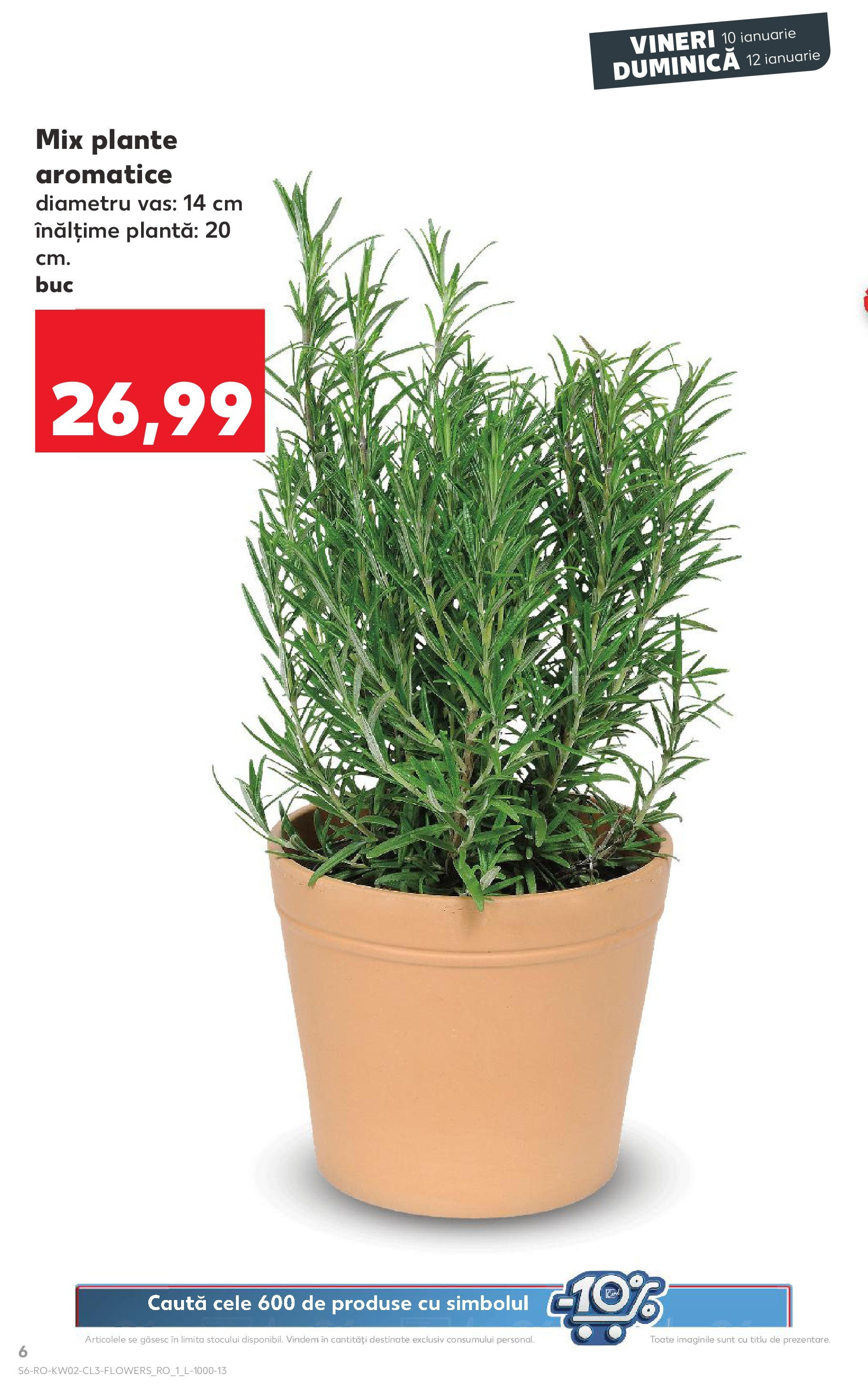 Catalog Kaufland 10 - 12 Ianuarie 2025 | Pagina 6