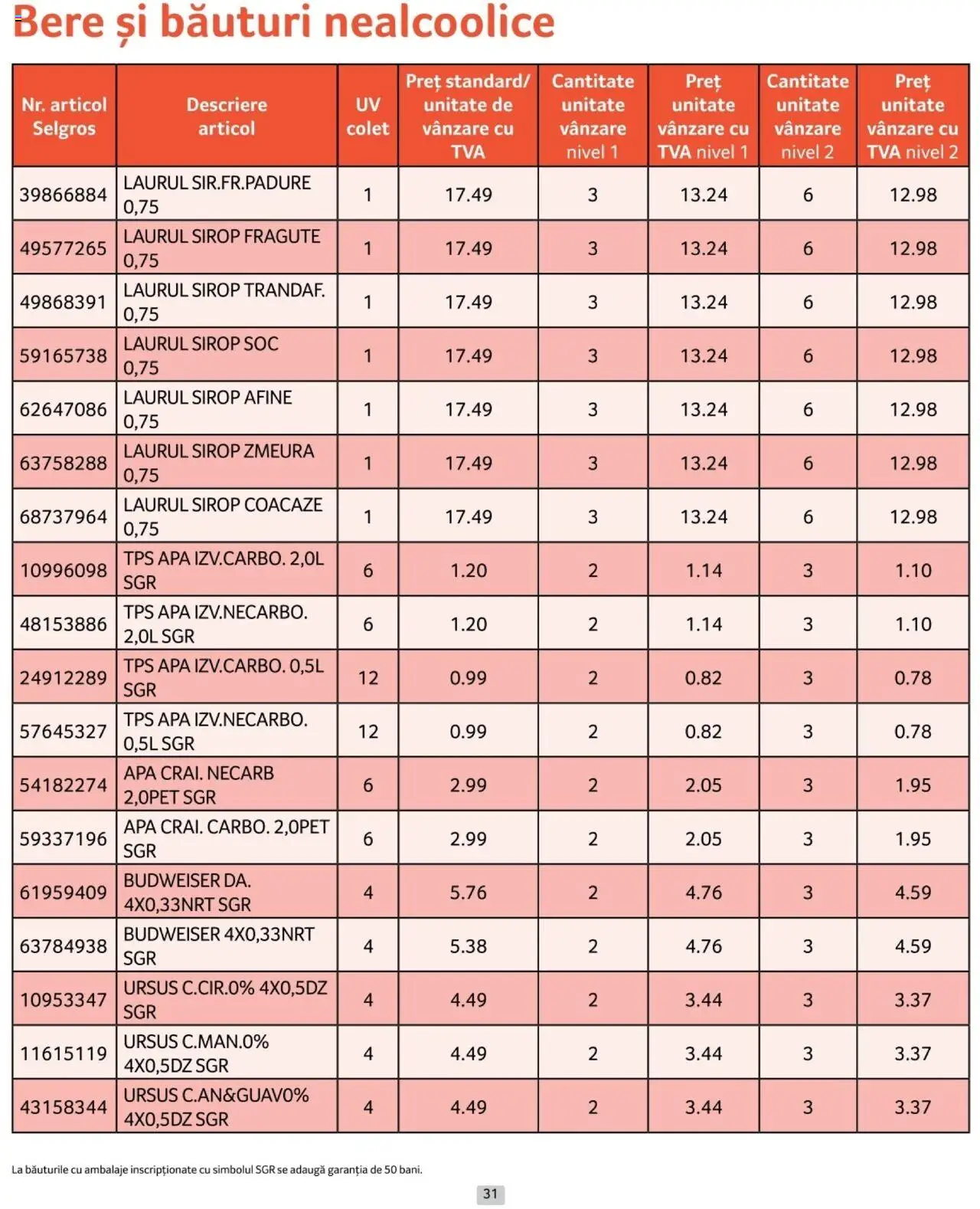 Catalog Selgros 1 - 31 Ianuarie 2025 | Pagina 31