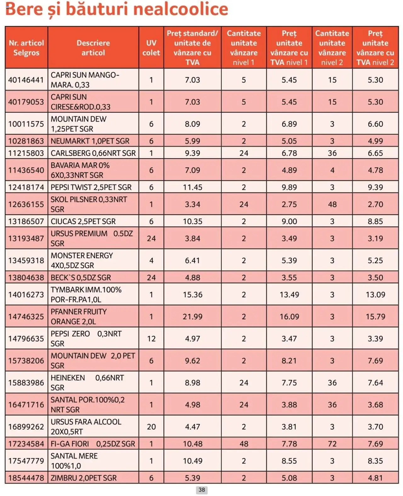 Catalog Selgros 1 - 31 Ianuarie 2025 | Pagina 38