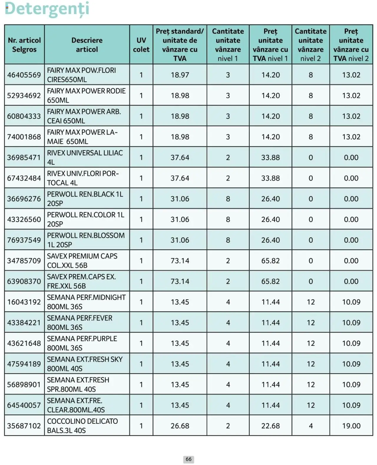 Catalog Selgros 1 - 31 Ianuarie 2025 | Pagina 66