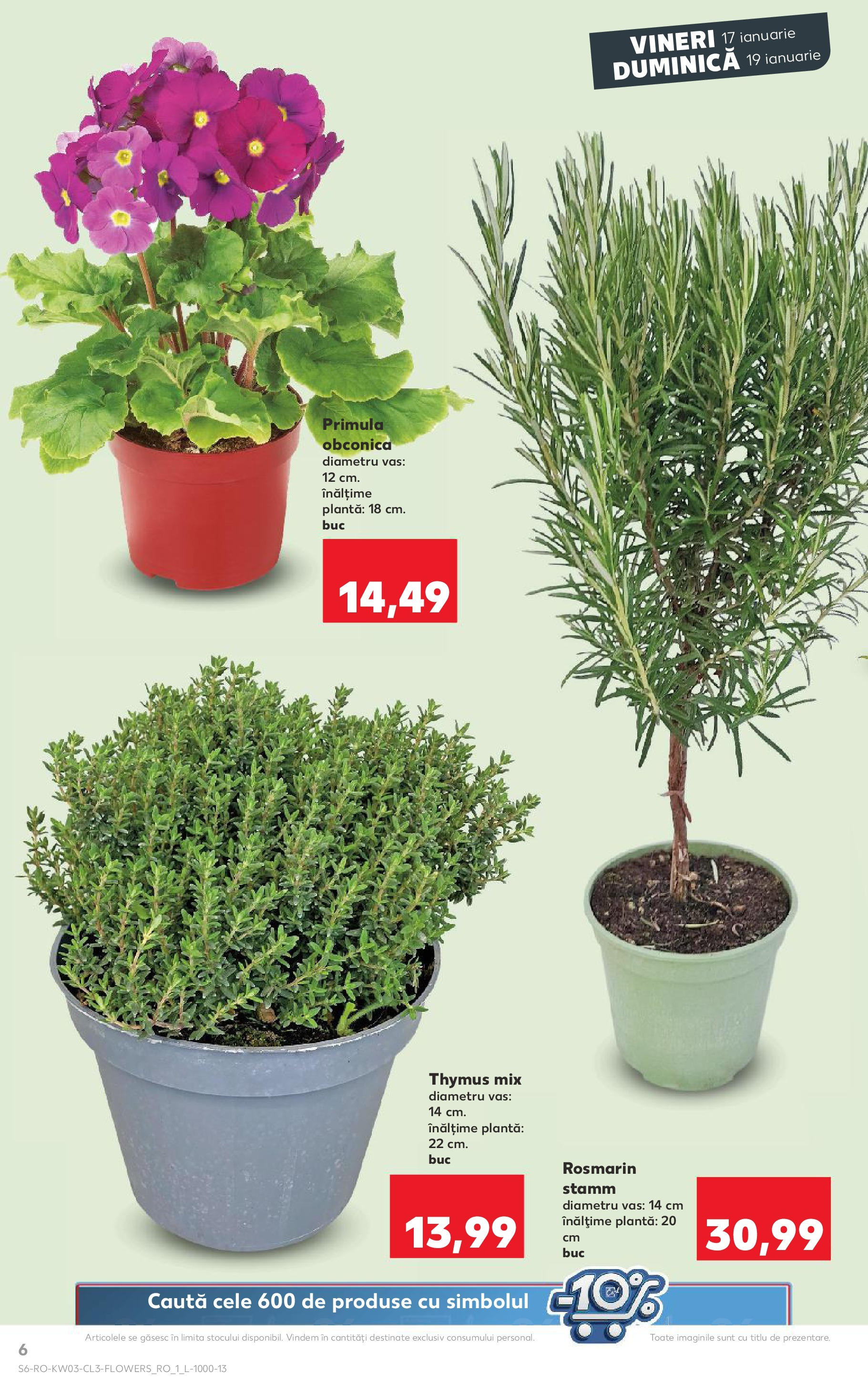 Catalog Kaufland 17 - 19 Ianuarie 2025 | Pagina 6