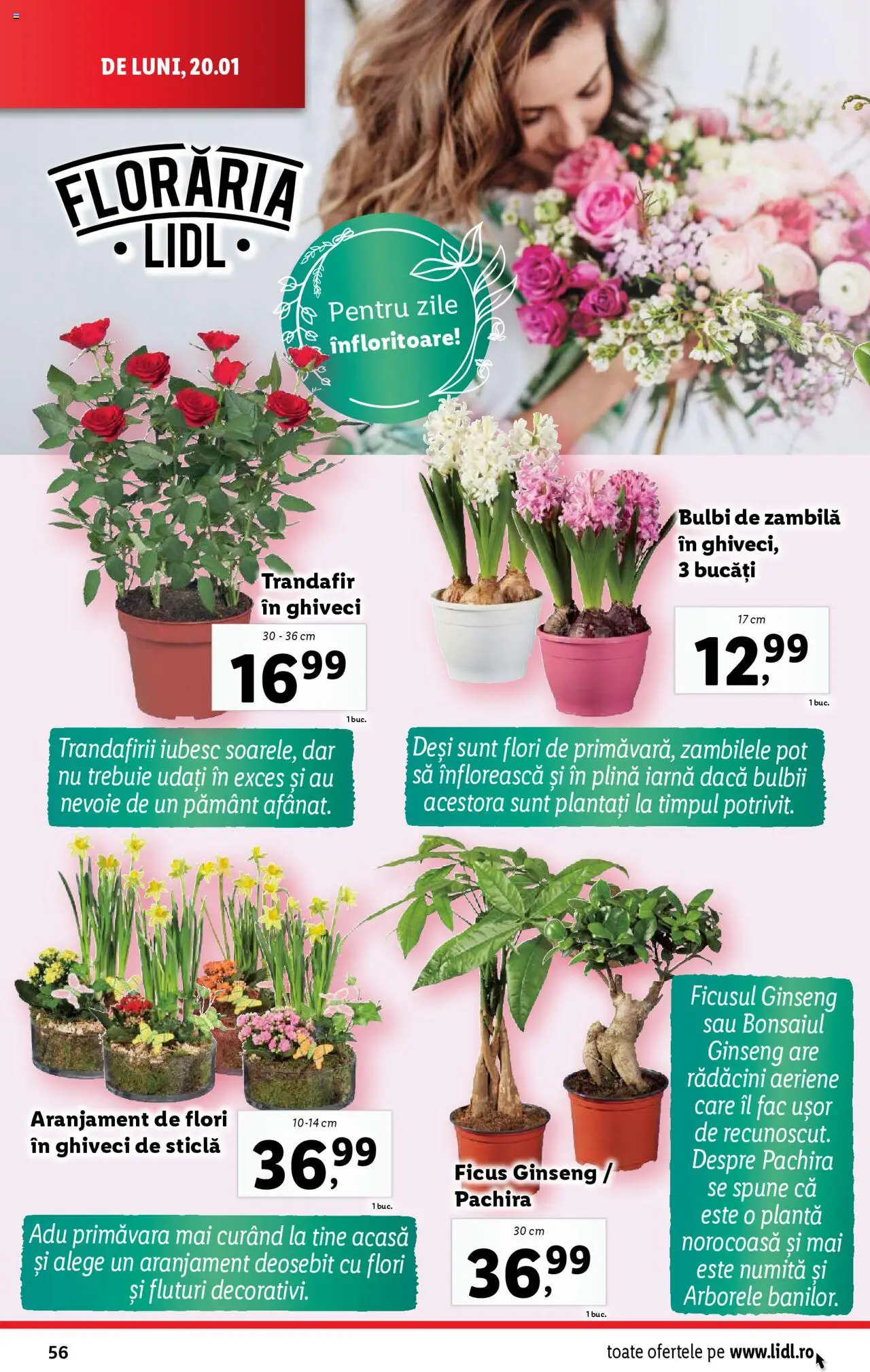 Catalog LIDL 20 - 26 Ianuarie 2025 | Pagina 56