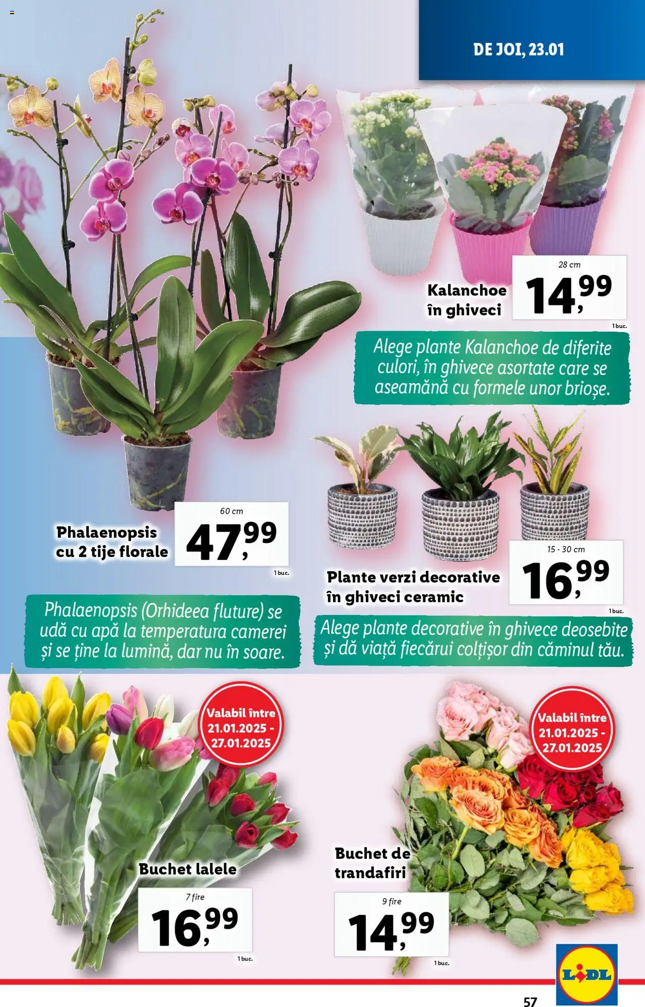 Catalog LIDL 20 - 26 Ianuarie 2025 | Pagina 57