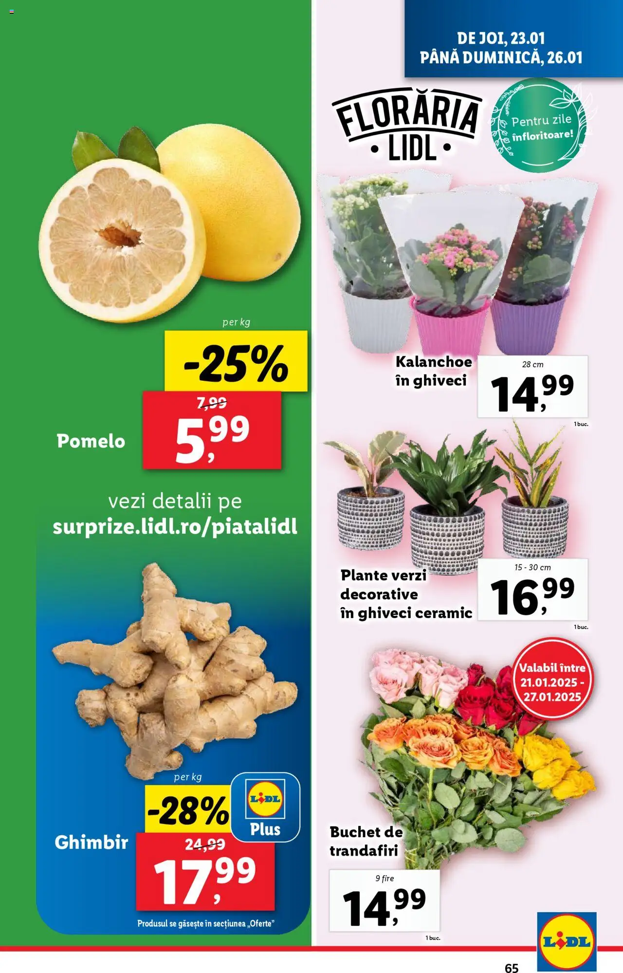 Catalog LIDL 20 - 26 Ianuarie 2025 | Pagina 65