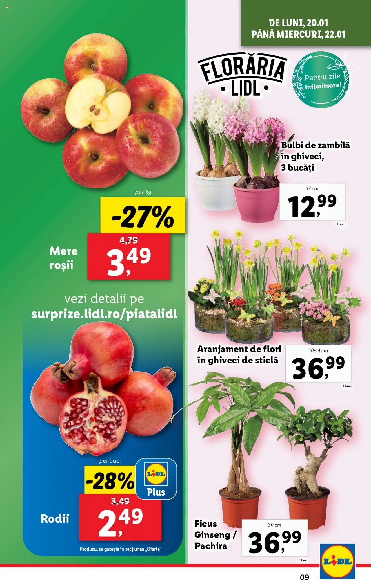 Catalog LIDL 20 - 26 Ianuarie 2025 | Pagina 9