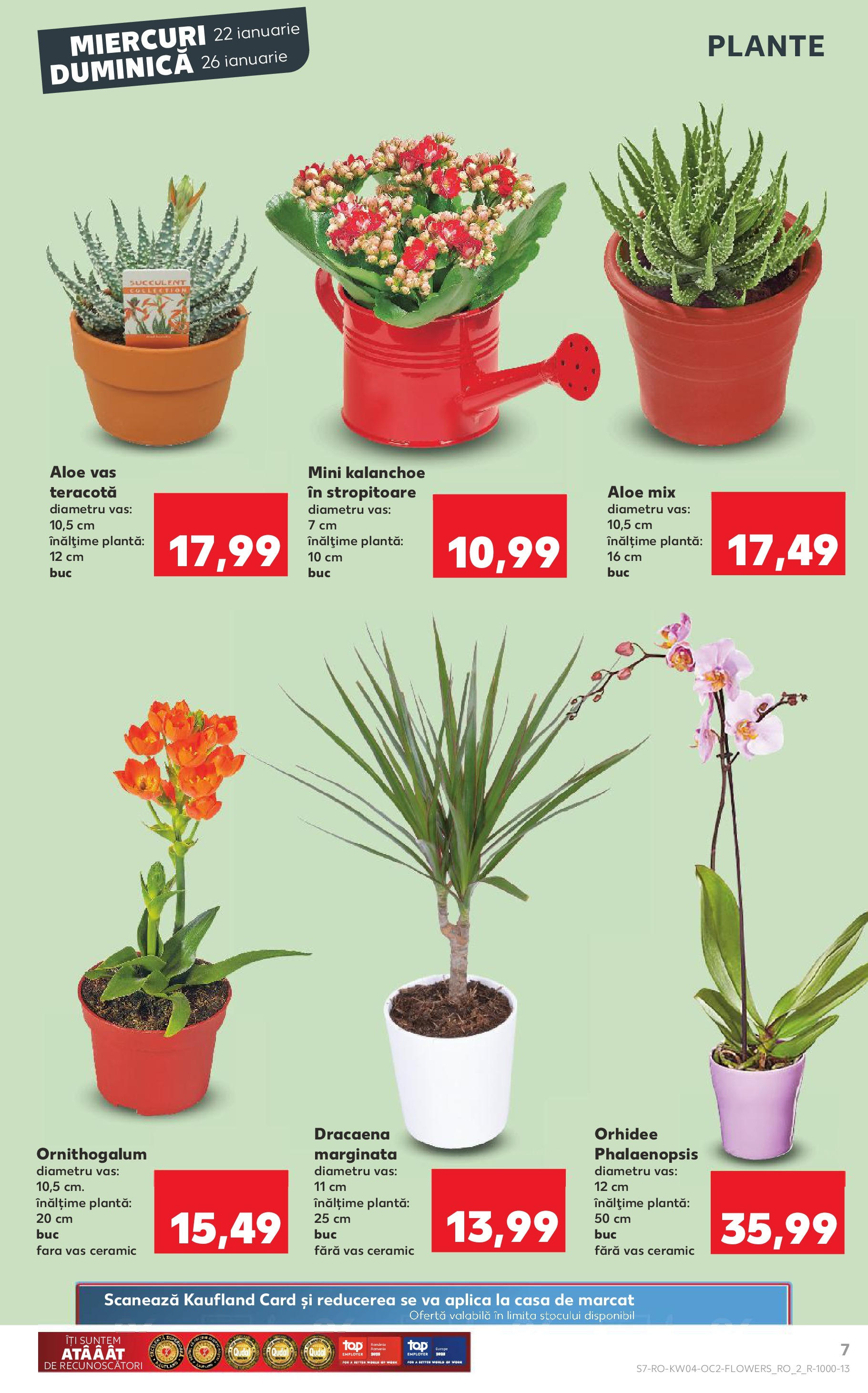 Catalog Kaufland 22 - 28 Ianuarie 2025 | Pagina 7