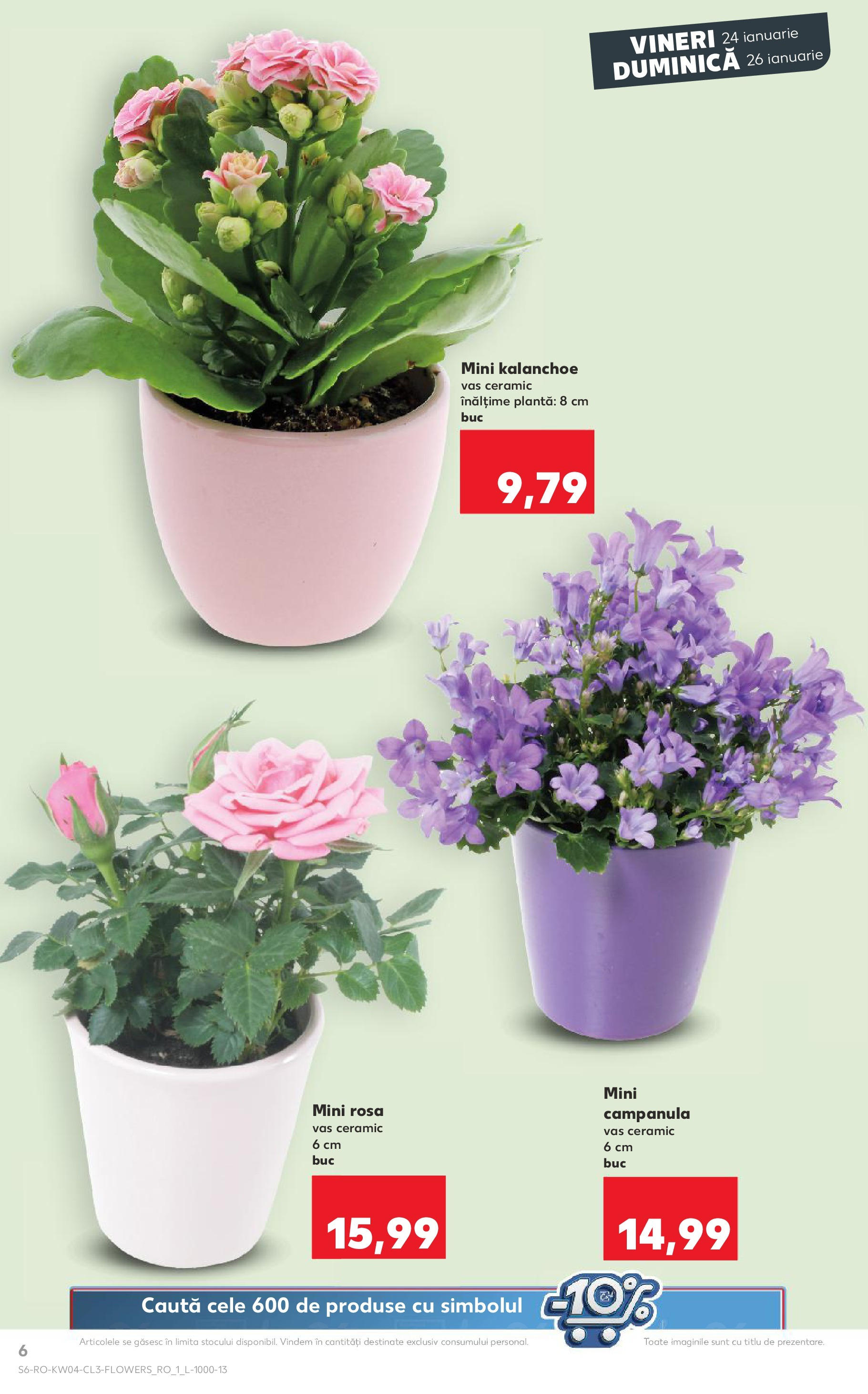 Catalog Kaufland 24 - 26 Ianuarie 2025 | Pagina 6