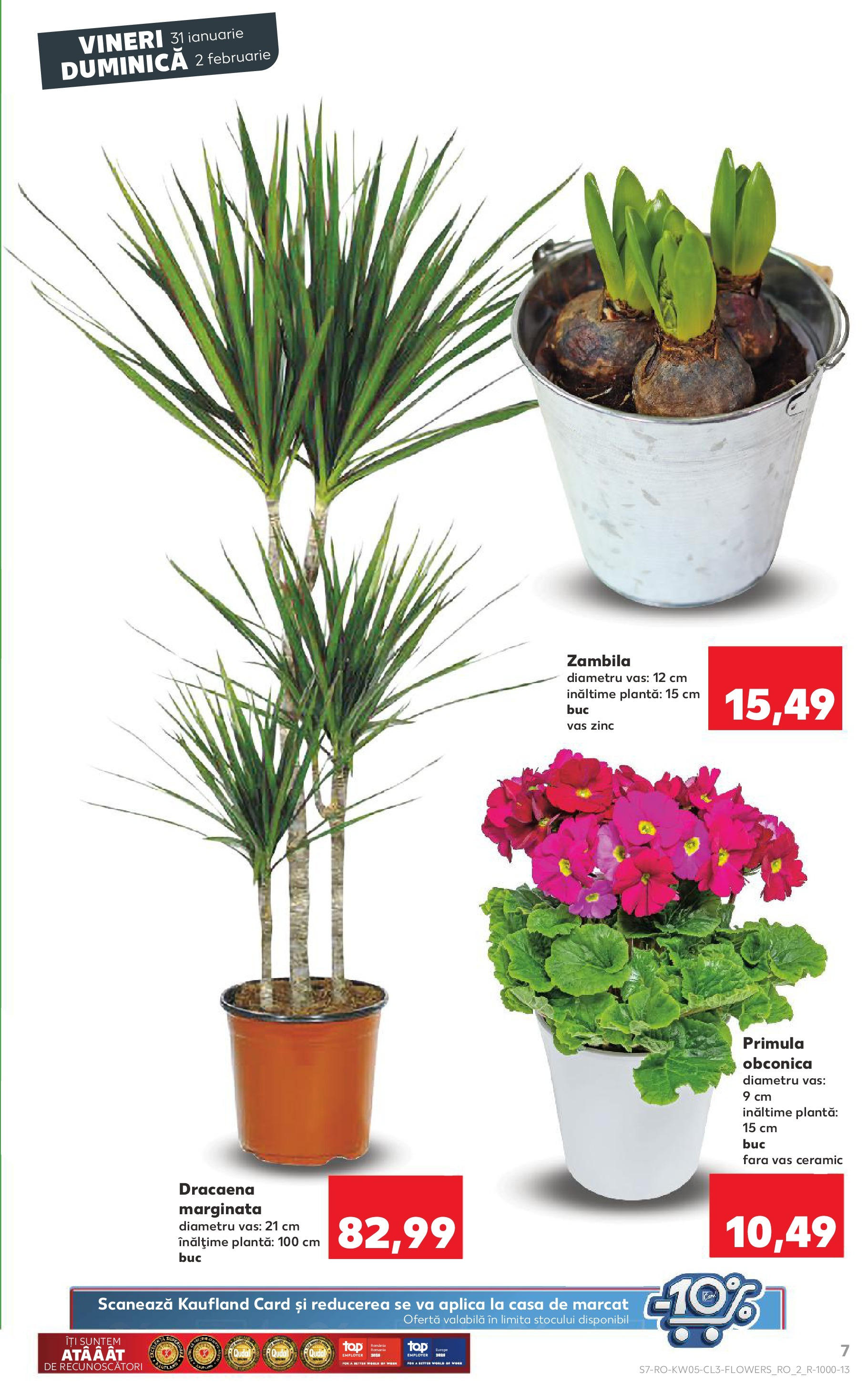 Catalog Kaufland 31 Ianuarie - 2 Februarie 2025 | Pagina 7