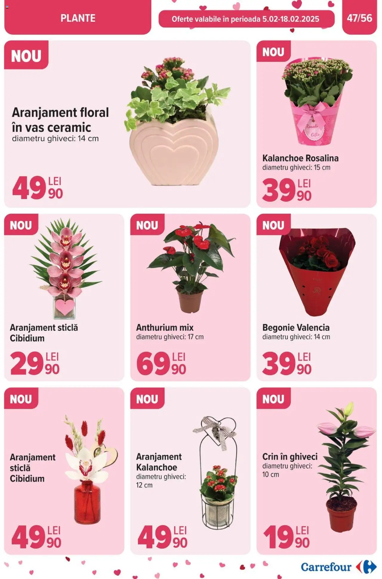 Catalog Carrefour 5 - 11 Februarie 2025 | Pagina 49 | Produse: Ghiveci