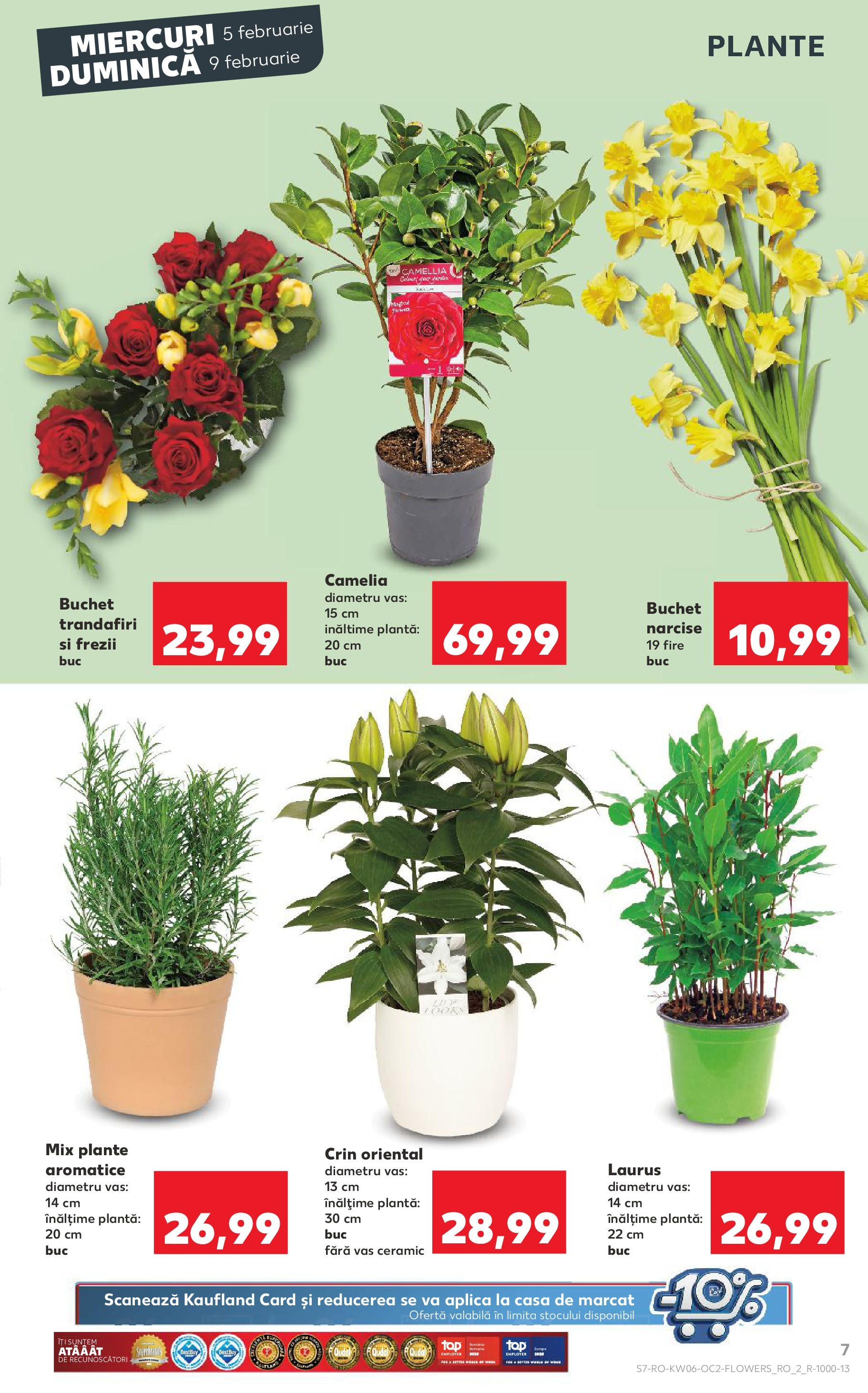 Catalog Kaufland 5 - 11 Februarie 2025 | Pagina 7