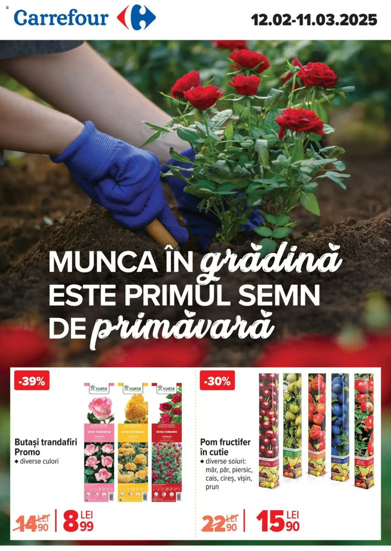 Catalog Carrefour 12 Februarie - 11 Martie 2025 | Pagina 1 | Produse: Cutie