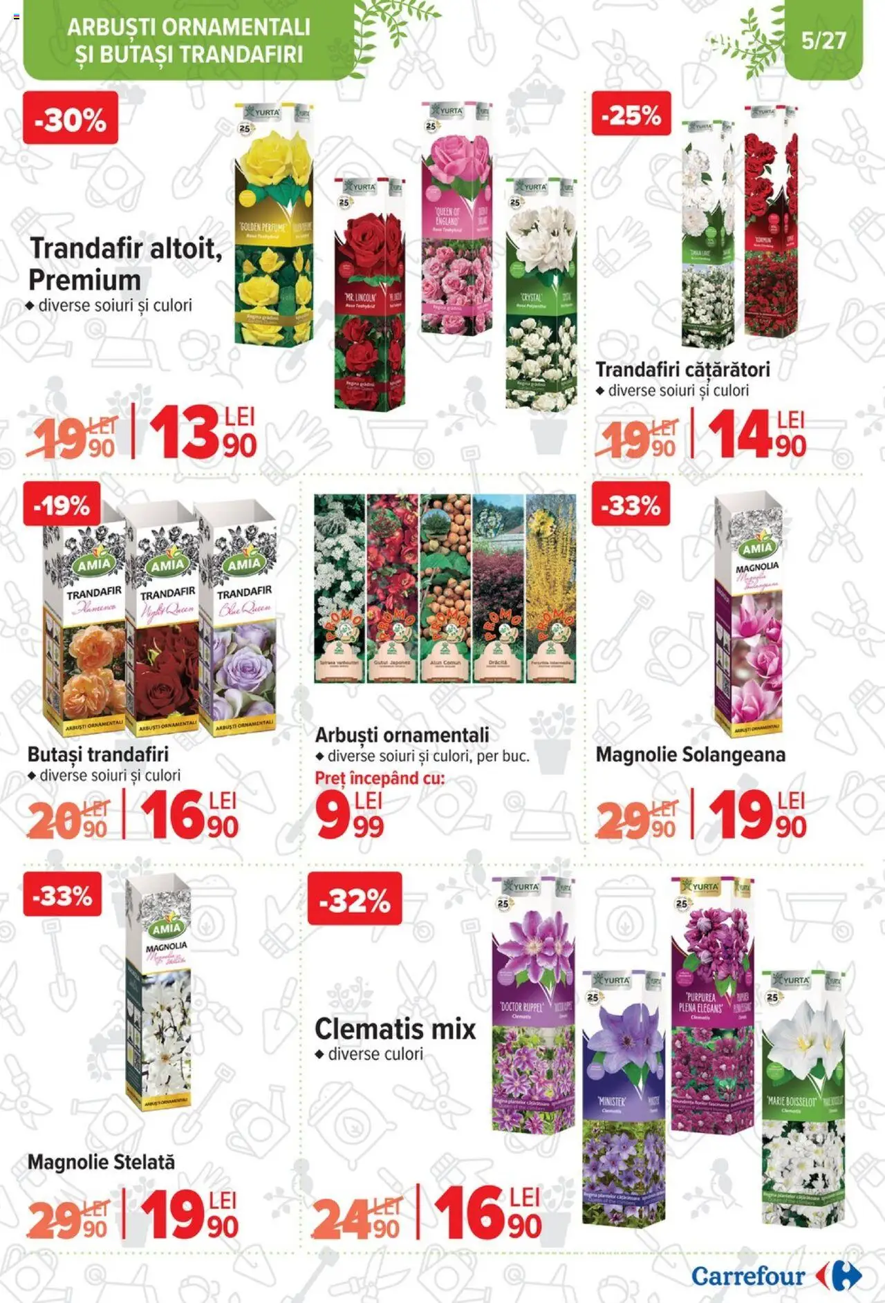 Catalog Carrefour 12 Februarie - 11 Martie 2025 | Pagina 5 | Produse: Trandafir