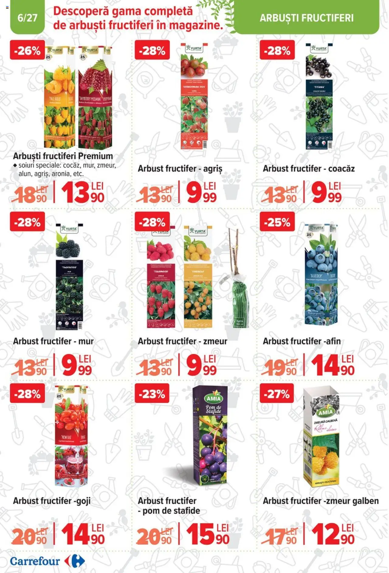 Catalog Carrefour 12 Februarie - 11 Martie 2025 | Pagina 6 | Produse: Zmeură, Stafide