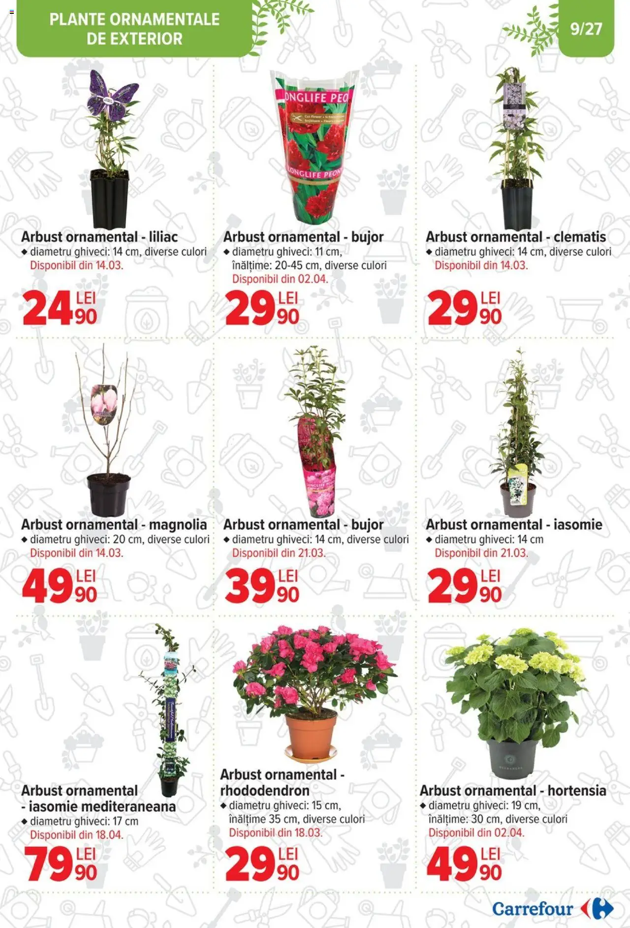 Catalog Carrefour 12 Februarie - 11 Martie 2025 | Pagina 9 | Produse: Ghiveci