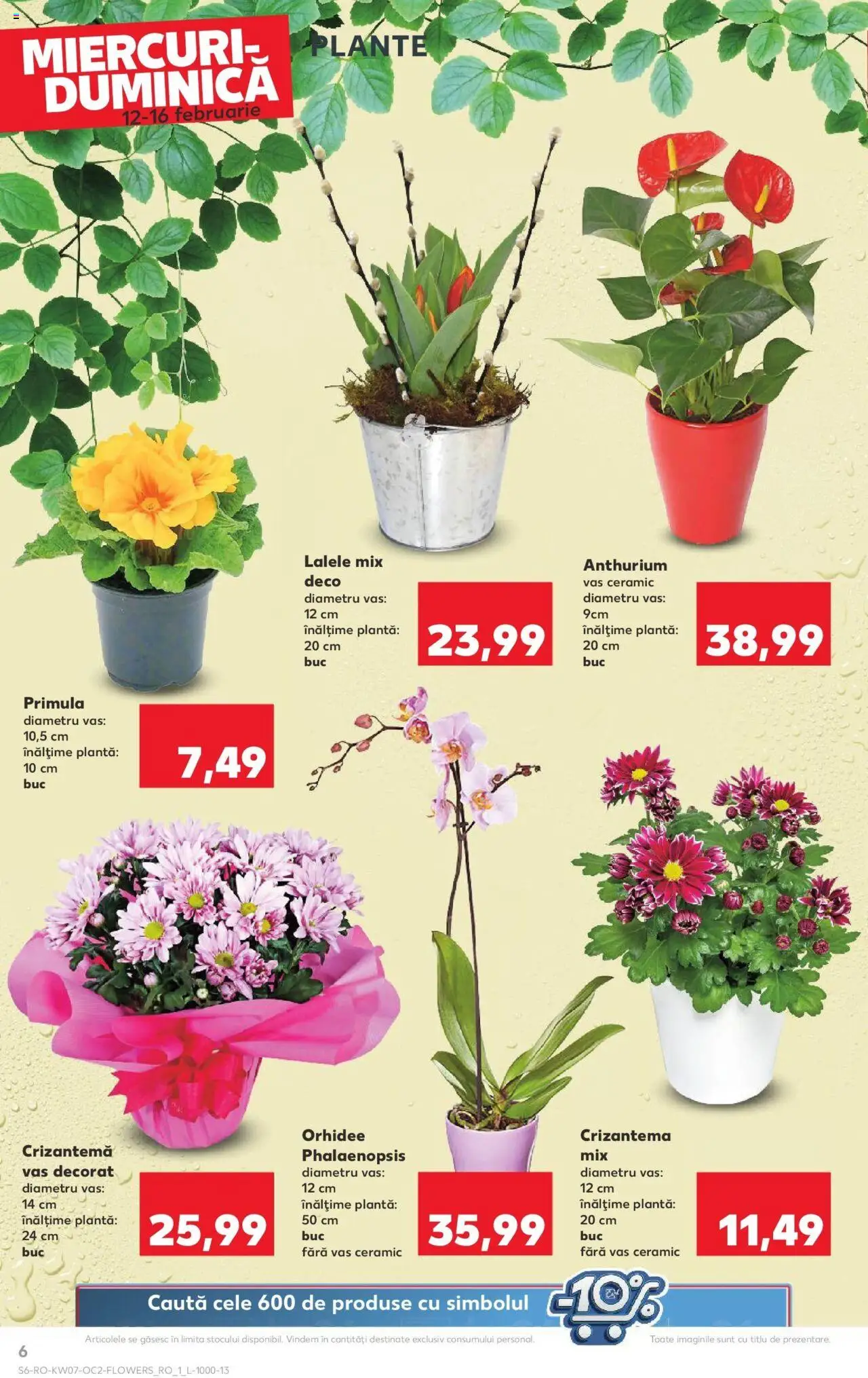 Catalog Kaufland 12 - 18 Februarie 2025 | Pagina 6 | Produse: Orhidee