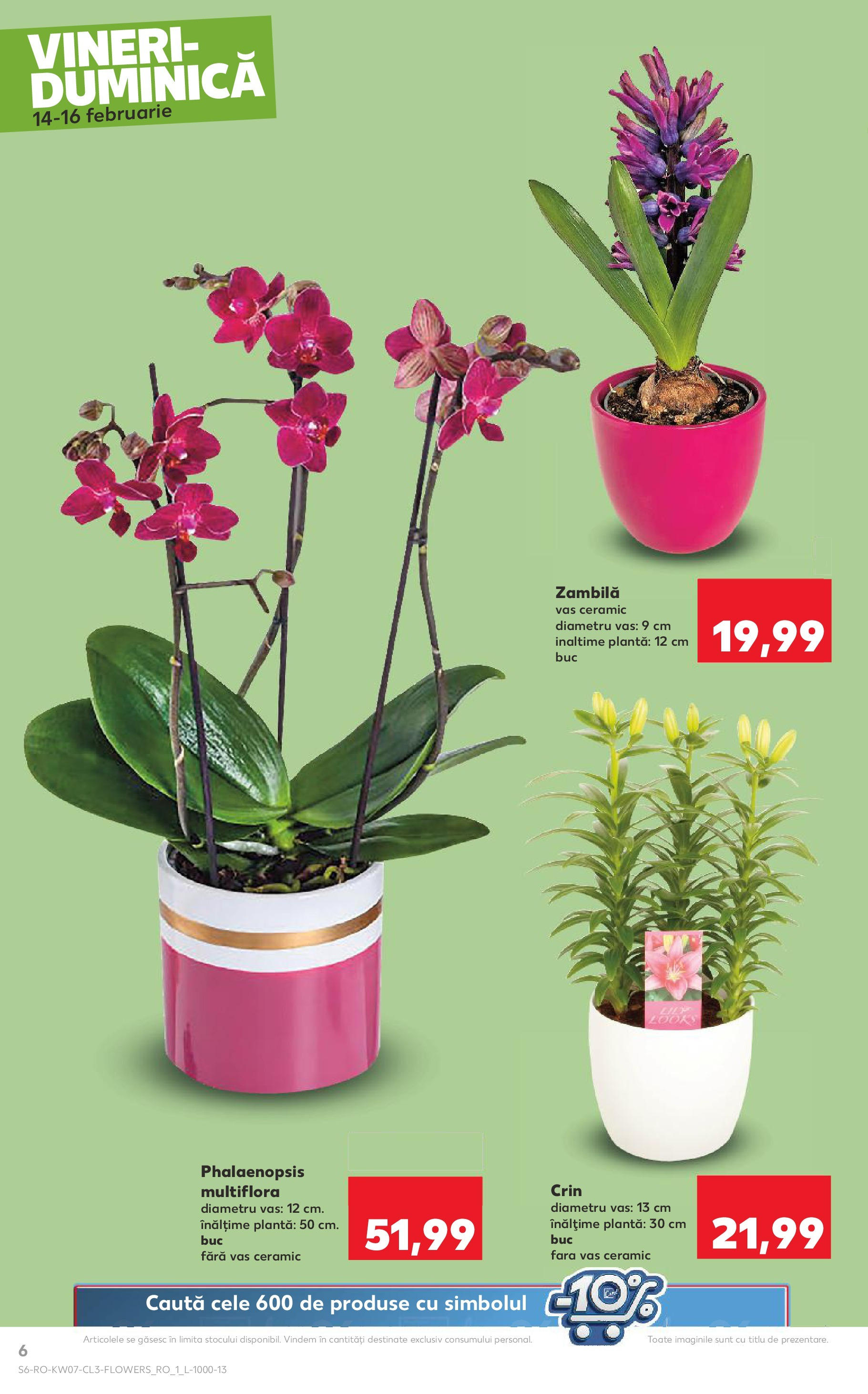 Catalog Kaufland 14 - 16 Februarie 2025 | Pagina 6